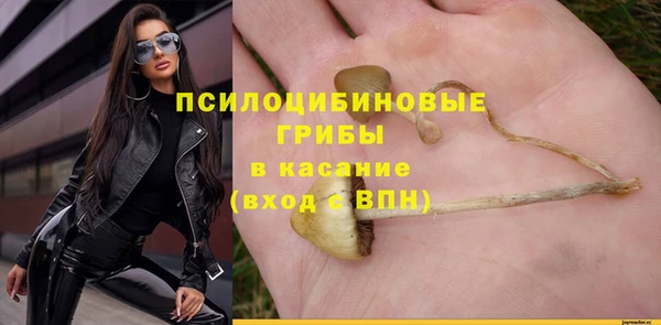 каннабис Бородино