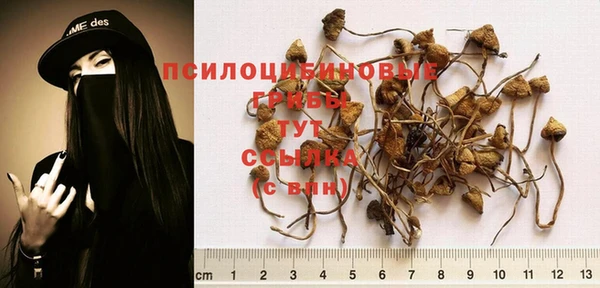 винт Бугульма