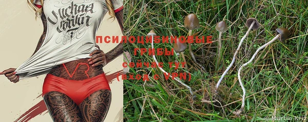 винт Бугульма